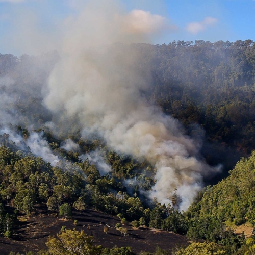 Bushfire2160