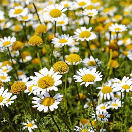 How To Have An Eco-Friendly Pregnancy