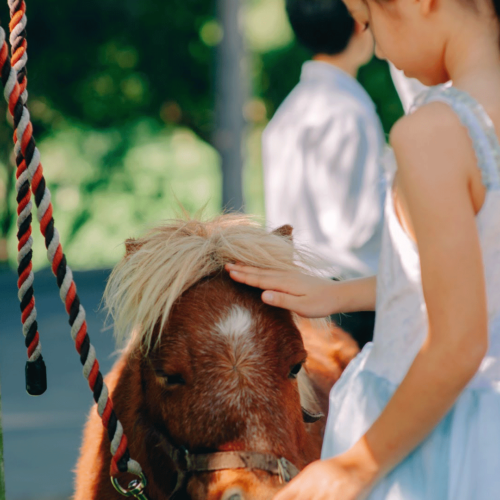 Natalie’s 8th Princess Birthday Party