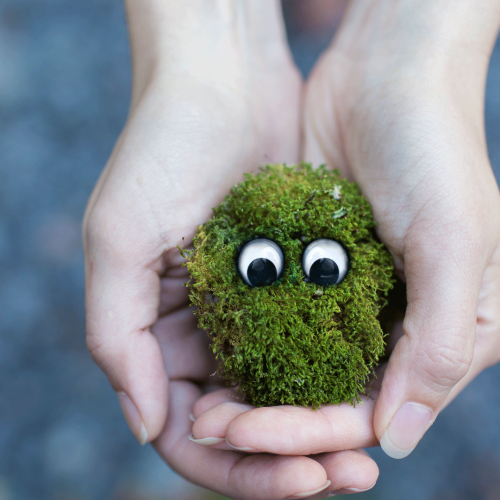 Tips for Raising Creative Kids