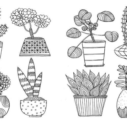 Colouring In For Grown Ups