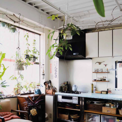 Indoor Green: Living With Plants
