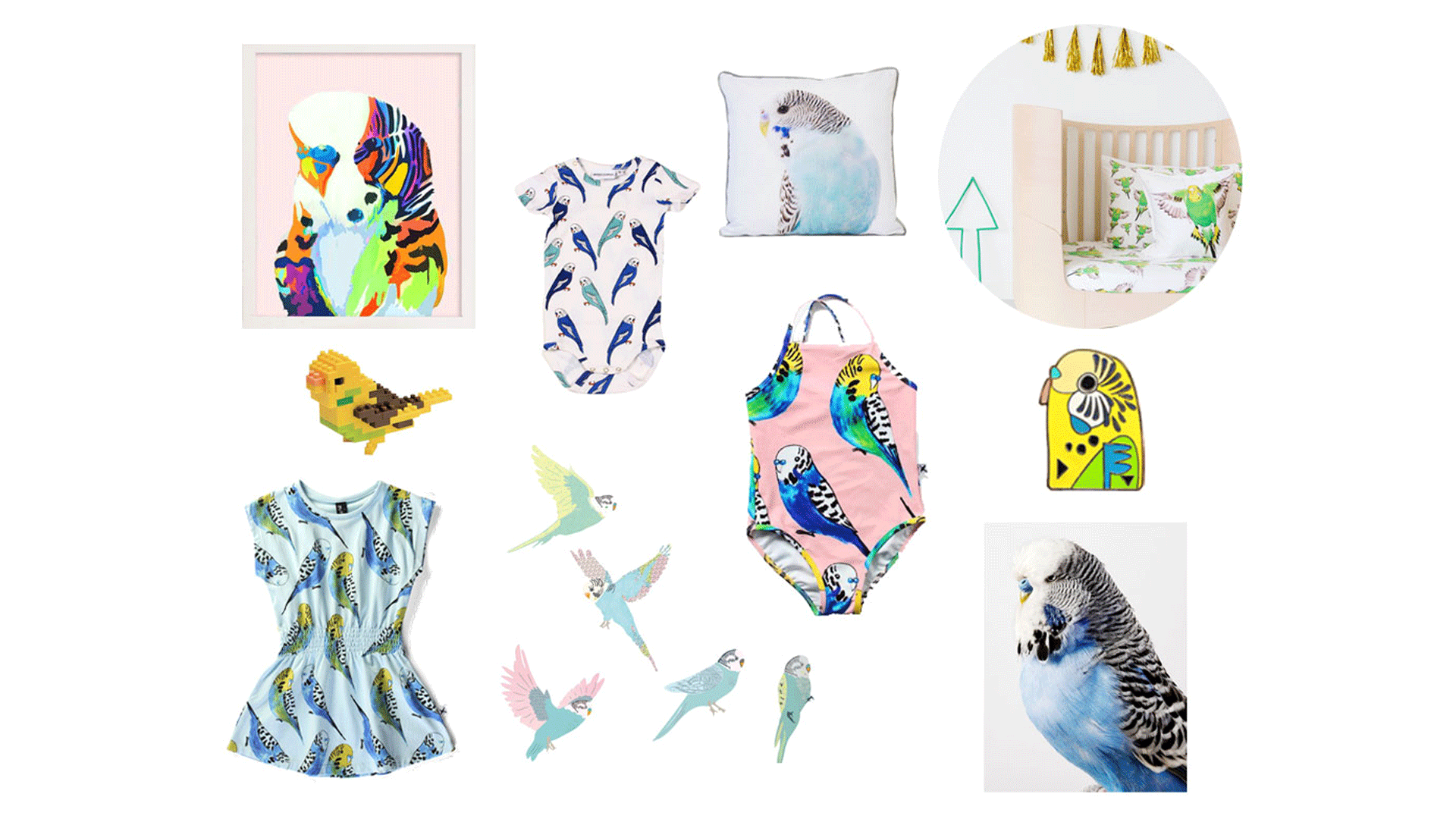 10 Cute Budgie Buys