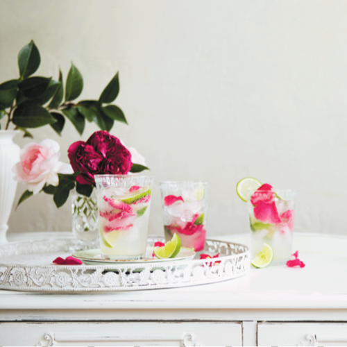 Rose + Lime Spritzer Recipe