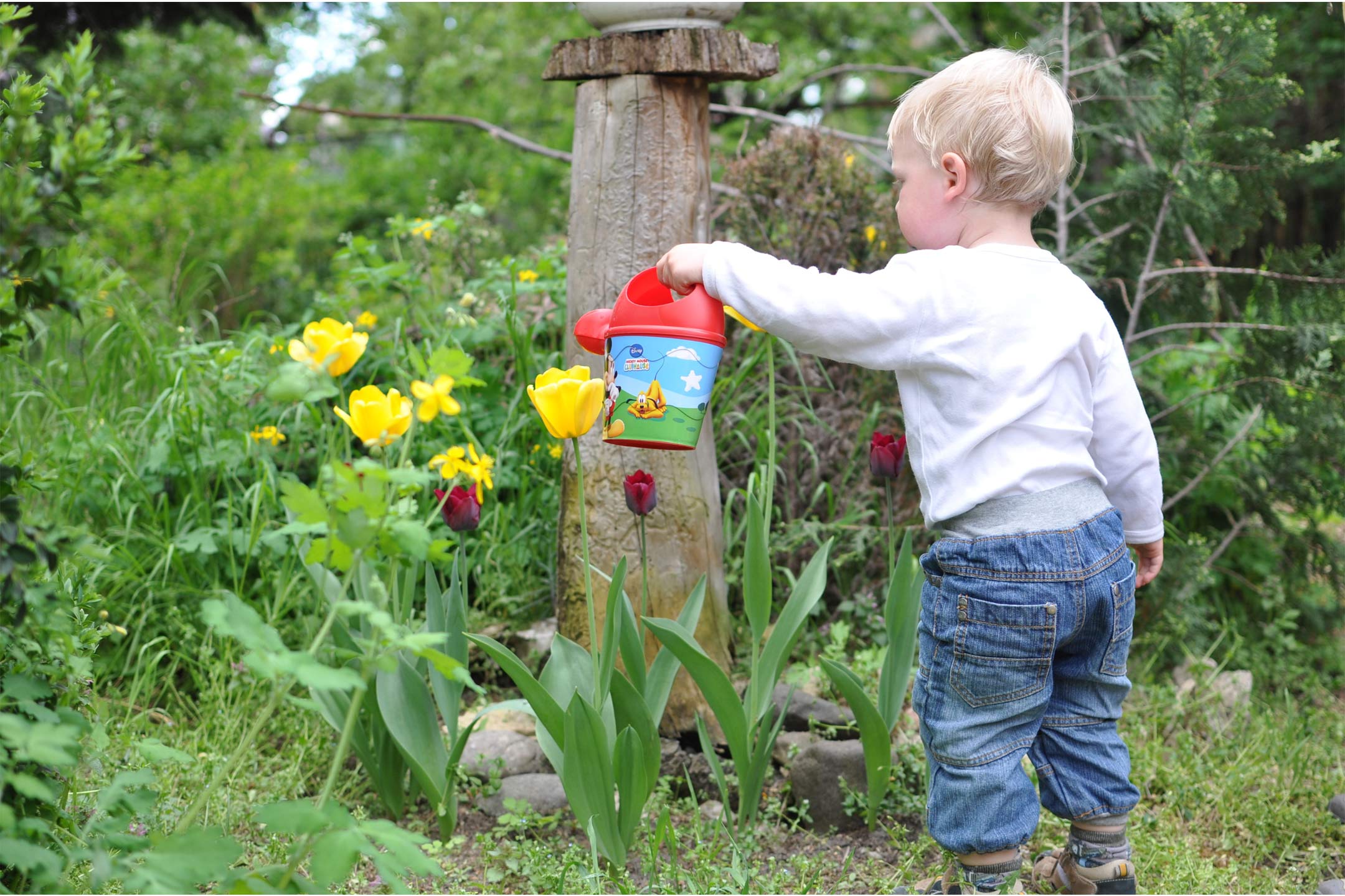 child-toddler-garden-watering2160