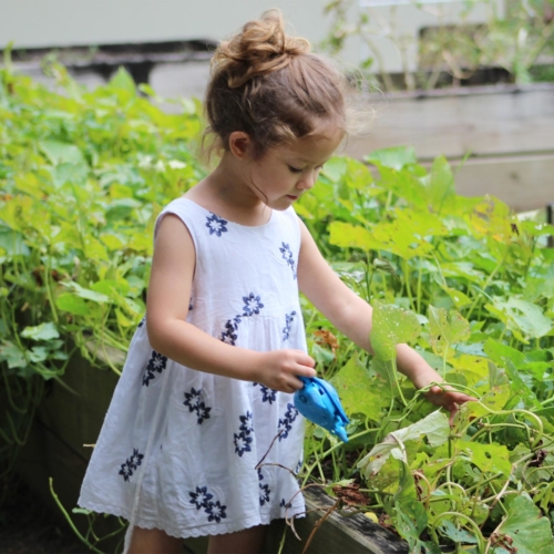 kids-gardening-chores2160