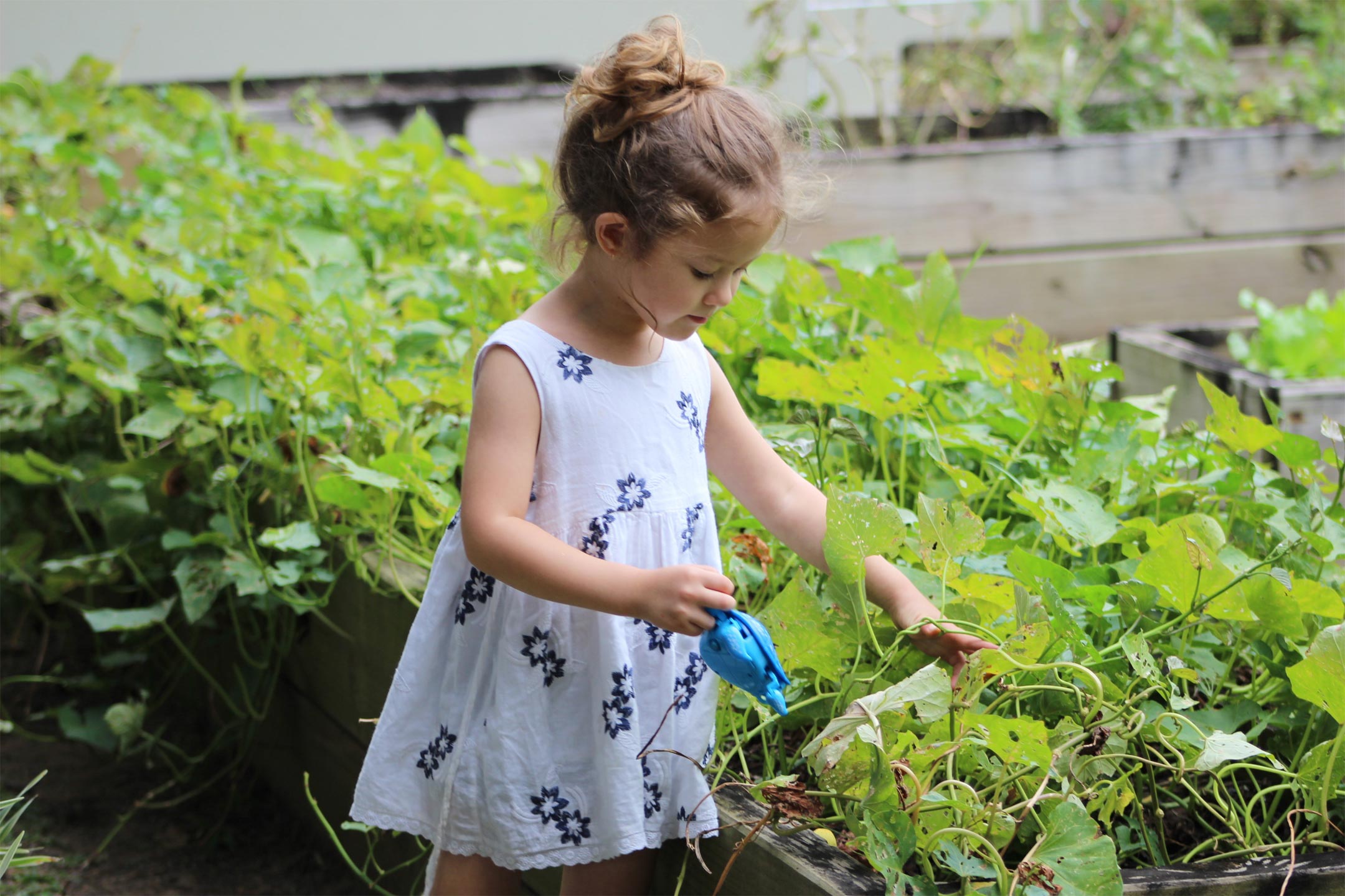 kids-gardening-chores2160