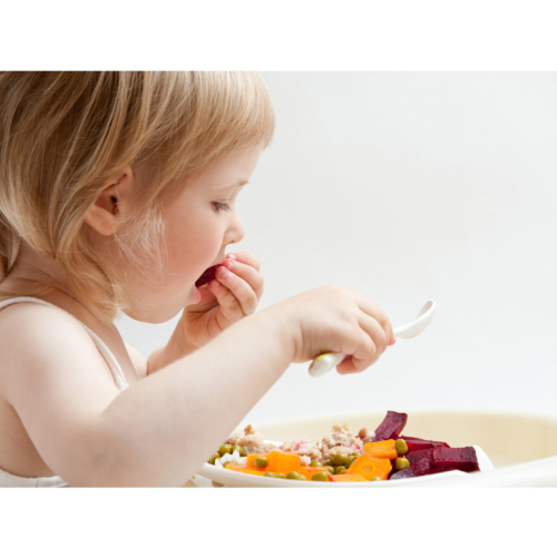 fussy-eater2160