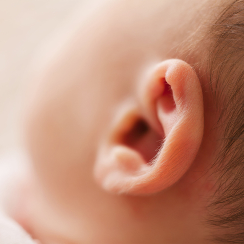 childs-ear2160