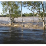 flodwaters-australia-disaster2160