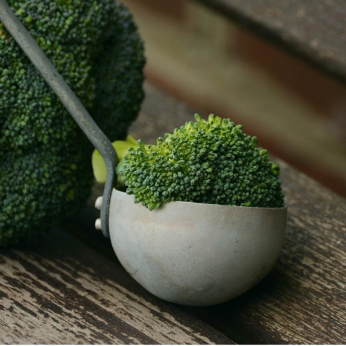 broccoli-on-wood2160