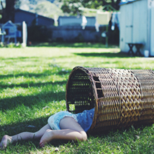 patchworkcactus-playing-outside2160