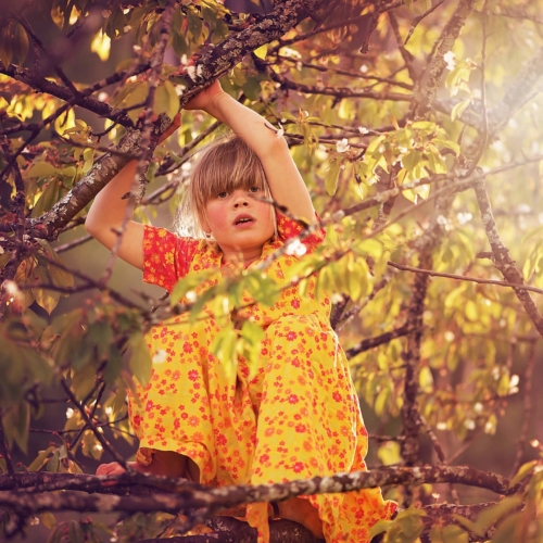 girl-climbing-tree2160