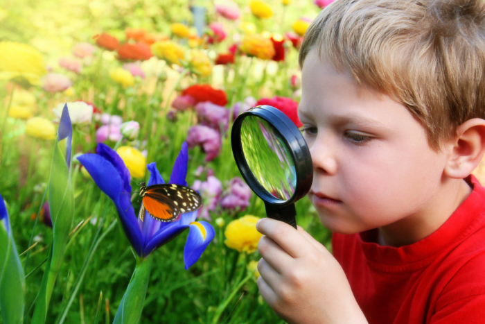 boy-magnifying-glass-garden-butterfly2160
