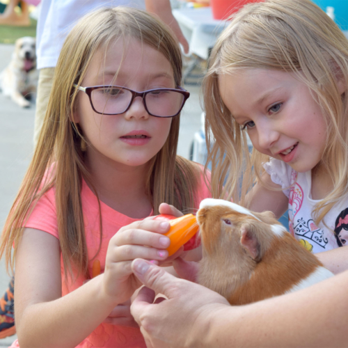 Girls-with-Guinea-Pigs2160