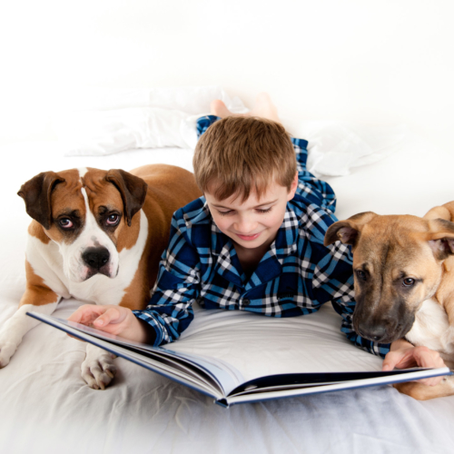 boy-reading-to-pet-dogs2160