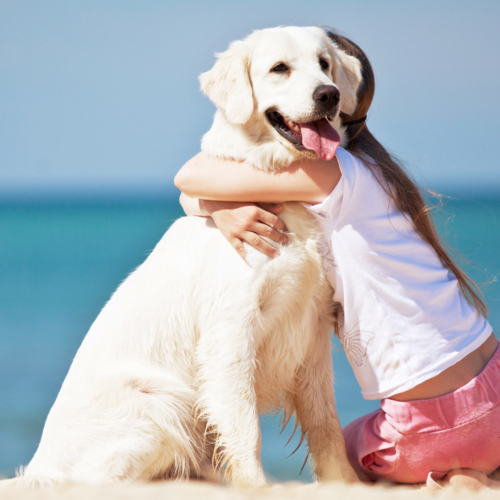 kissing a pet