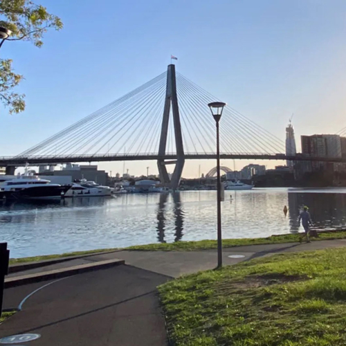 Blackwattle-Bay-crop-view-to-harbour-bridge-Sydney