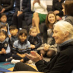 https://janegoodall.org.au/roots-shoots/