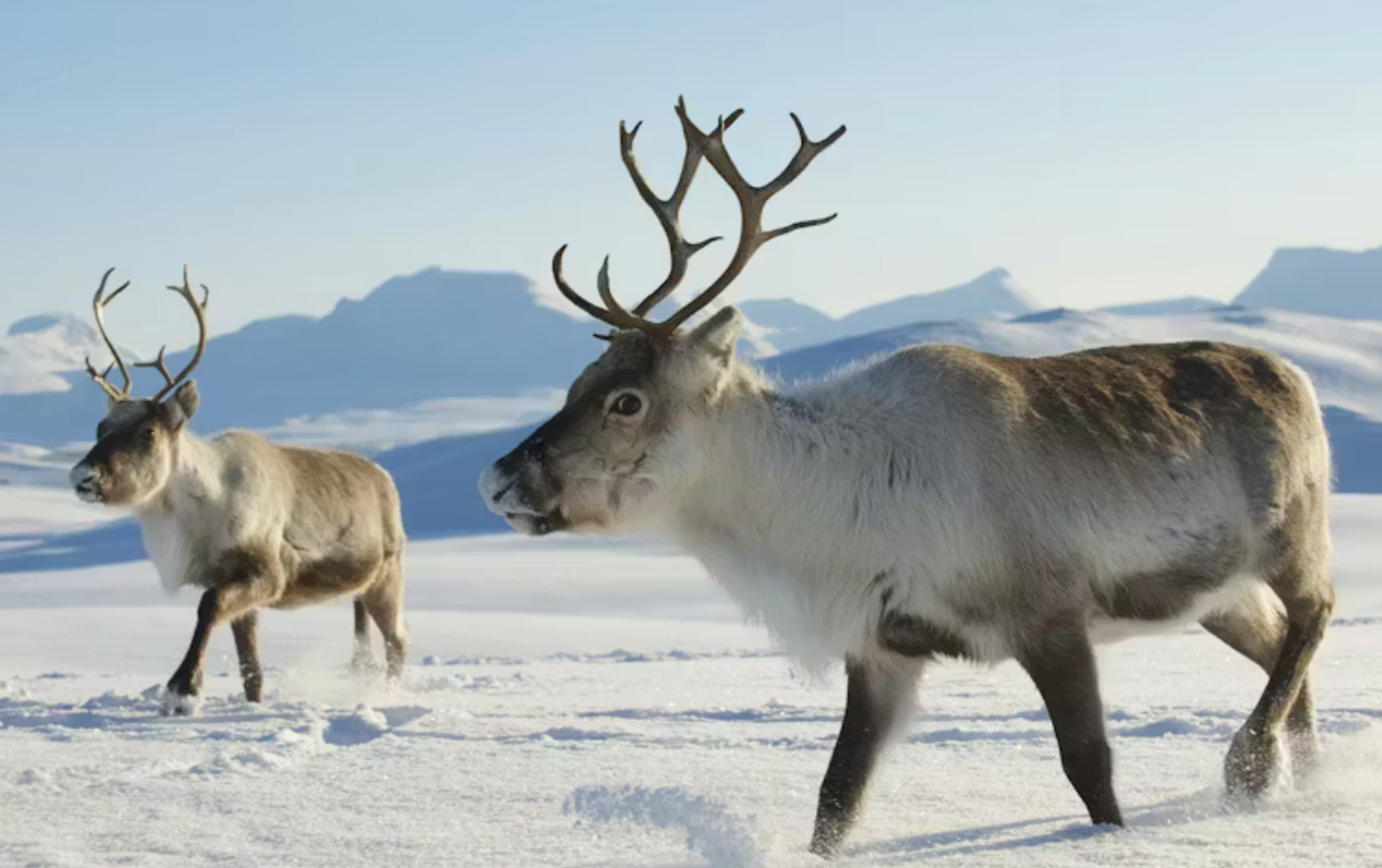 Dmitry Chulov, Shutterstock